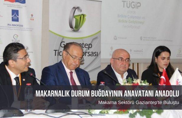 Makarnalık Durum Buğdayının Anavatanı Anadolu