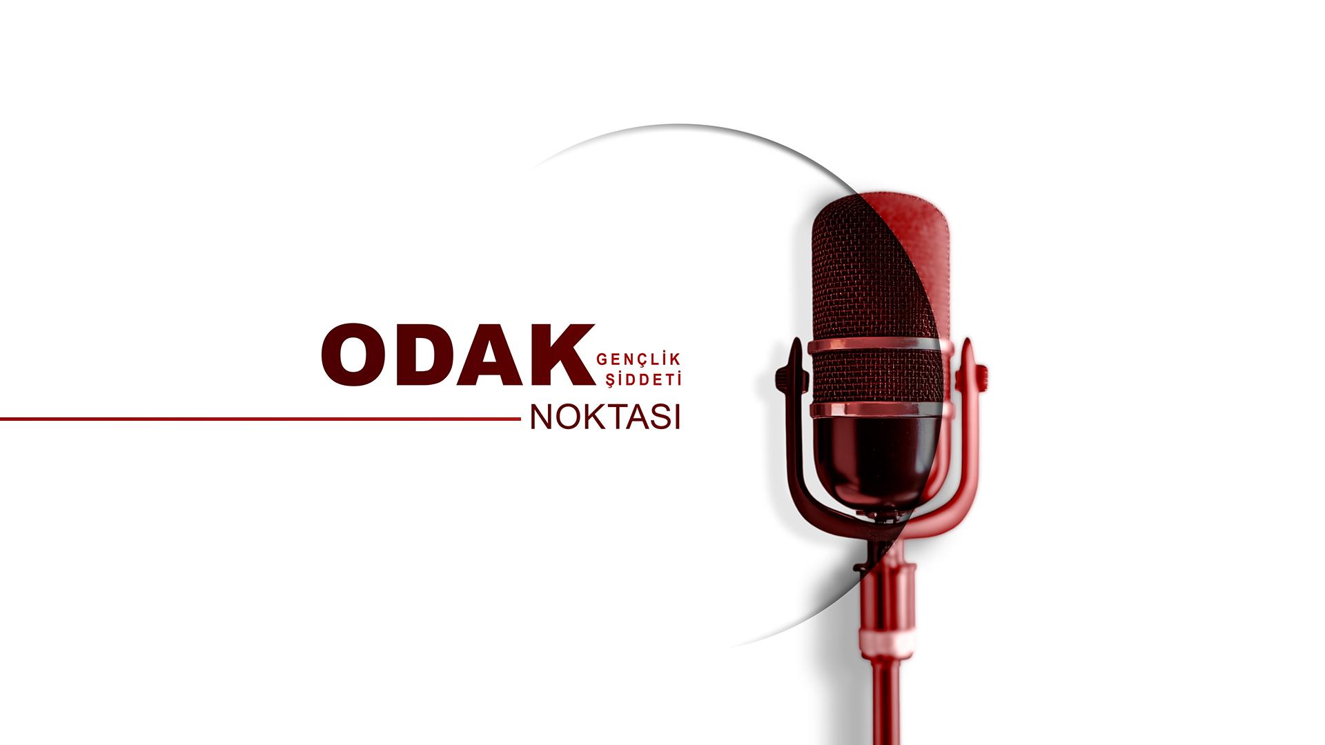 Gençlik şiddeti neden artıyor, çözüm nereden başlamalı?