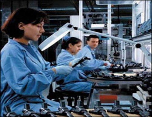 Türkiye'nin İstihdam Haritası Çıkarıldı