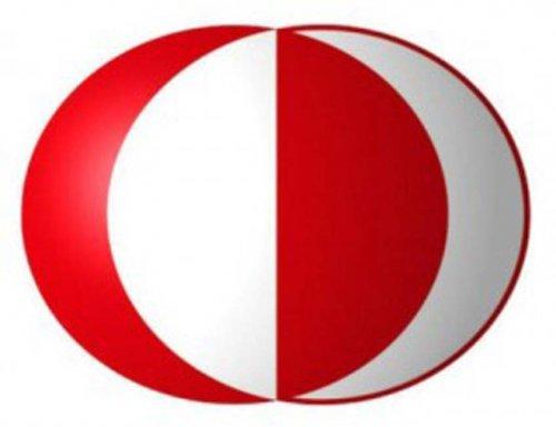 Türkiye ve Çin Medyasının Sorunları İçin Ortak Konferans…