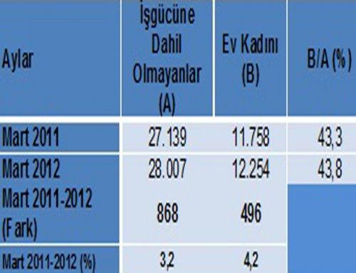 "Ev Kadını" Sayısı Bir Yılda 496 Bin Arttı