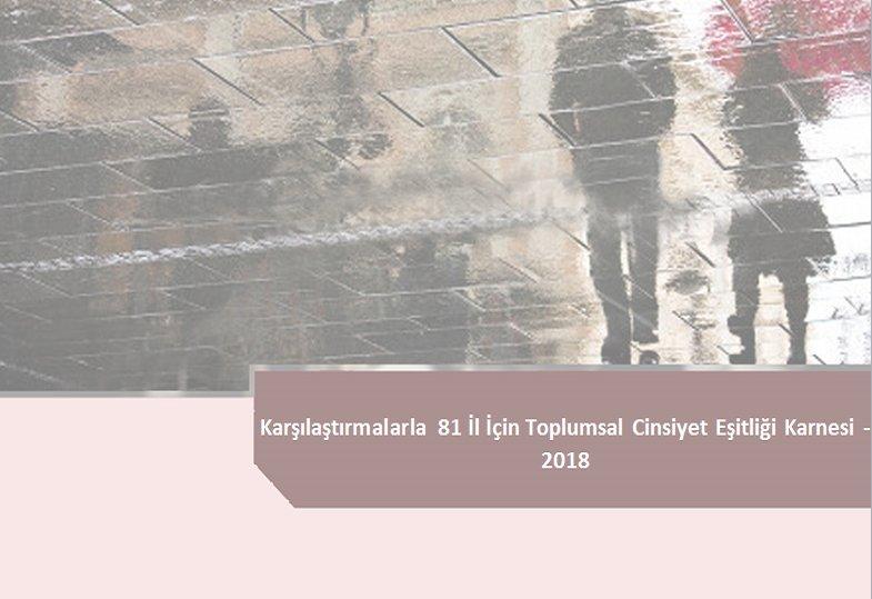 TEPAV “Karşılaştırmalarla 81 İl İçin Toplumsal Cinsiyet Eşitliği Karnesi 2018” raporunu yayımladı