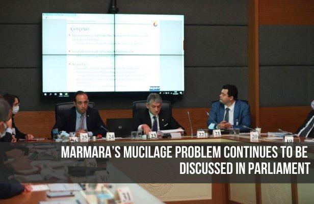 Marmara’s Mucilage problem continues to be discussed in Parliament