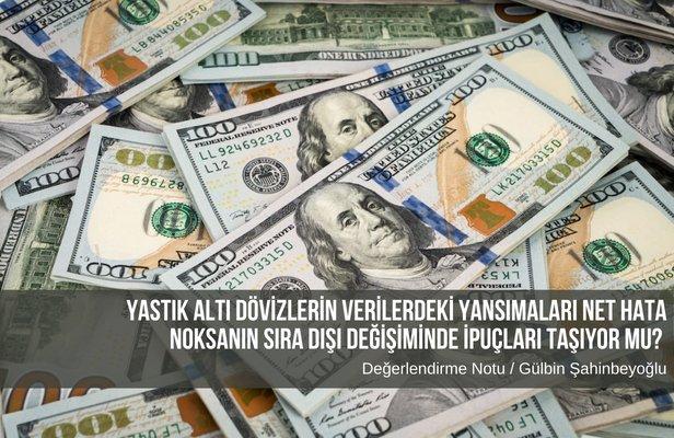 Yastık altı dövizlerin verilerdeki yansımaları Net Hata Noksanın sıra dışı değişiminde ipuçları taşıyor mu?