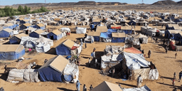 Sudan sorunu: Suudi Arabistan ve BAE karşı karşıya...