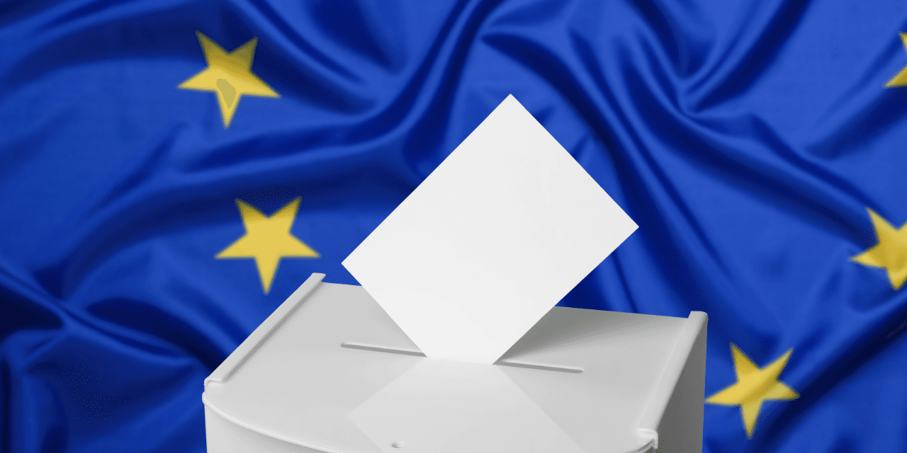 Avrupa Parlamentosu Seçimleri ve Türkiye