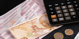 Rasyonele dönüş yüzde 25 mi?...