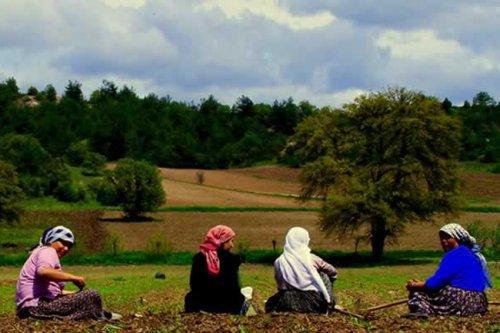 TEPAV: "Non-Agricultural Employment among Women Increases, Although in the Informal Sector”
