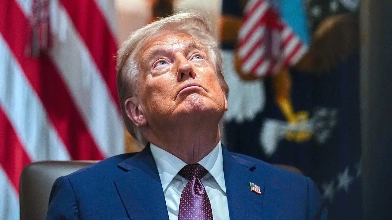 Alem adam bu Trump