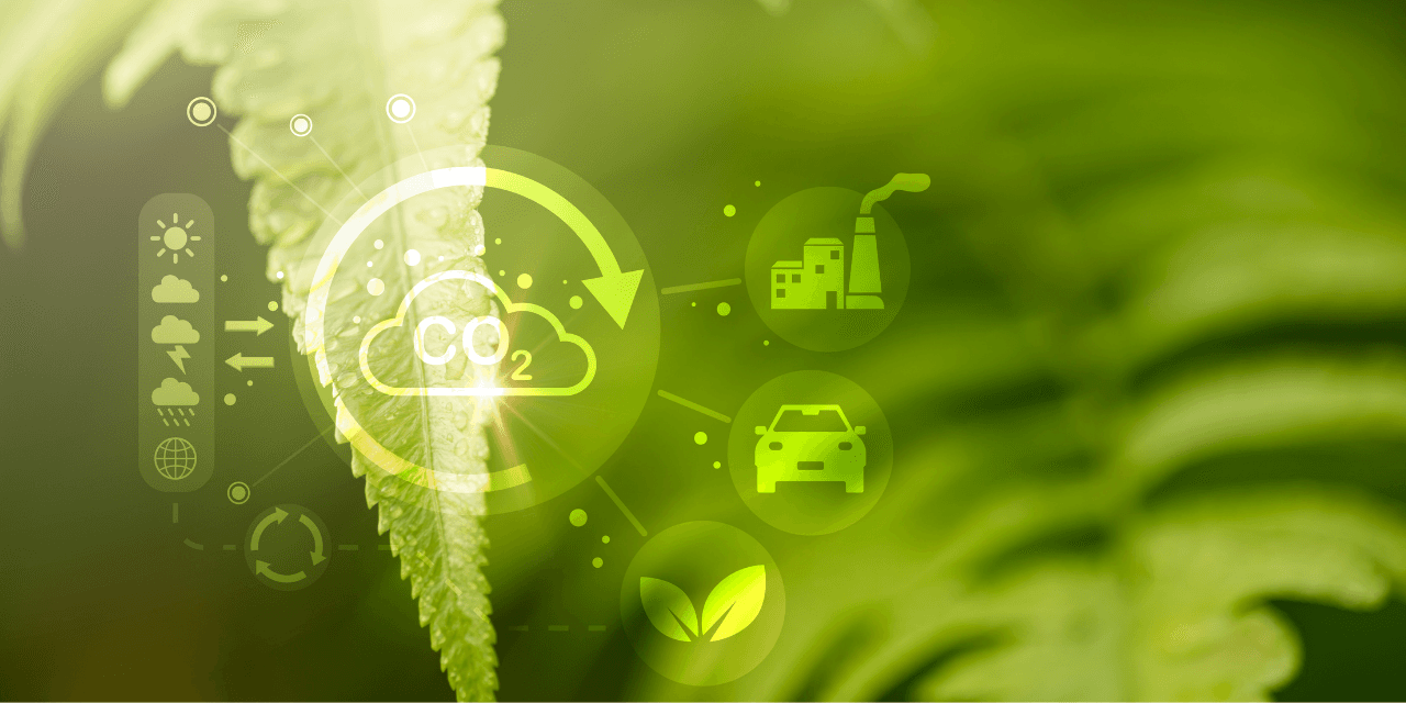 Turkiye’s carbon intensity atlas: Regional vulnerabilities in the green transition